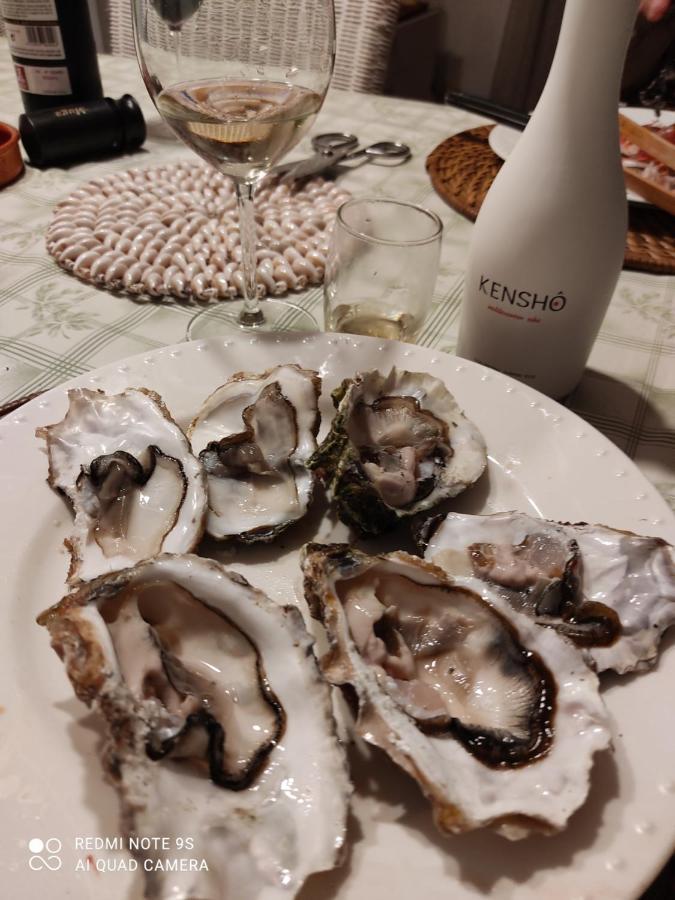 El Perelló Casa Oliveres Beach En L' Ampolla 빌라 외부 사진
